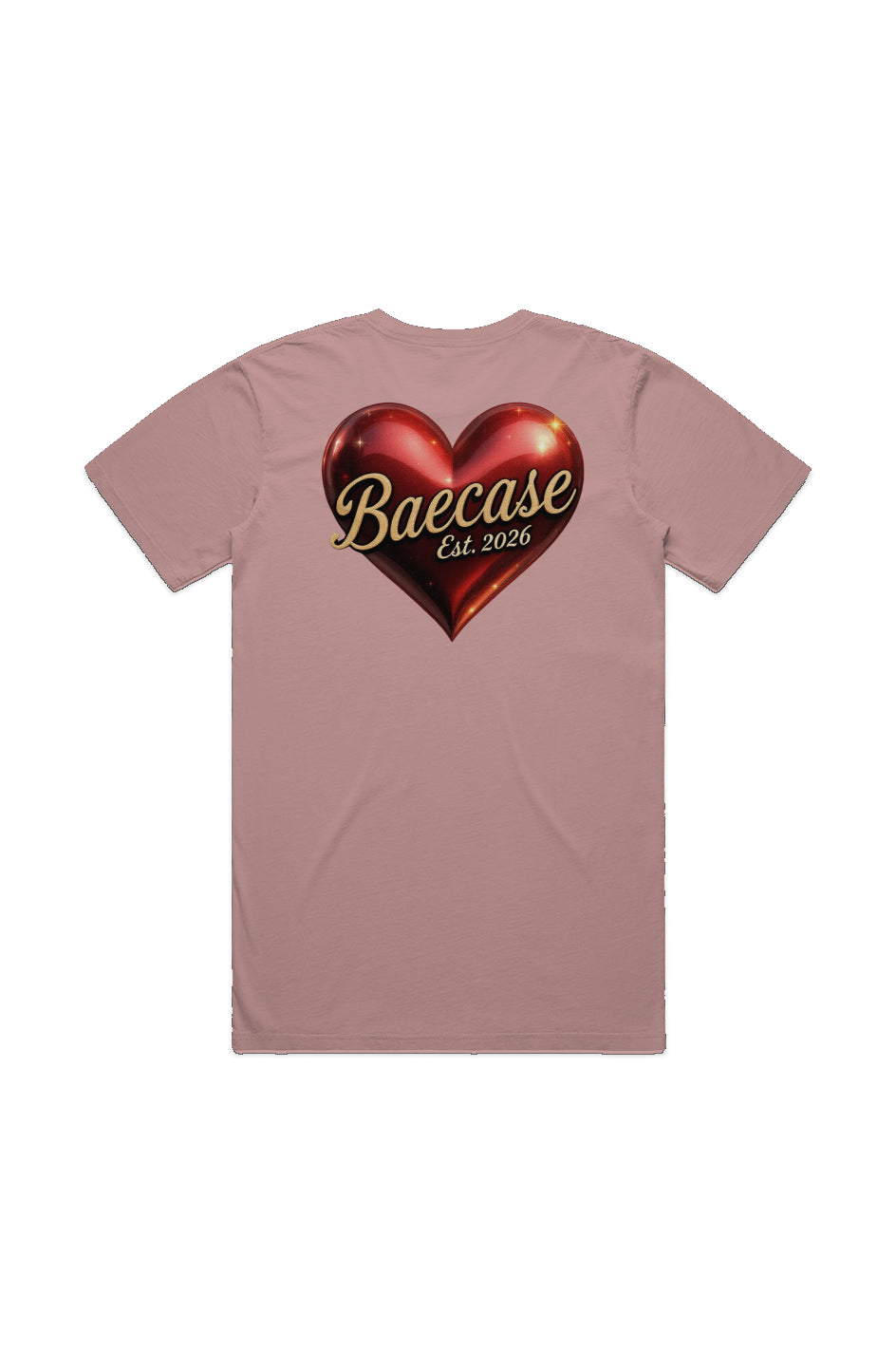 MENS STAPLE FADED TEE
